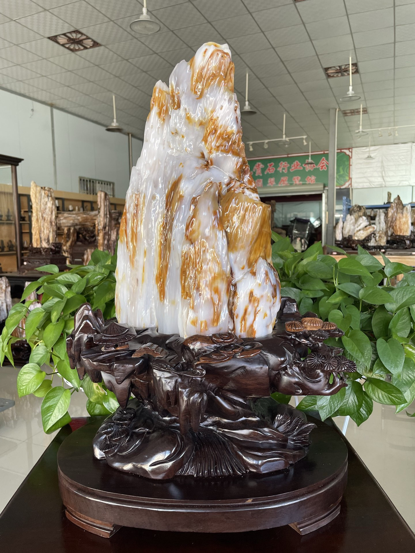 缅甸树化玉原石镇宅招财55076号木化石树化石天然硅化木奇石摆件