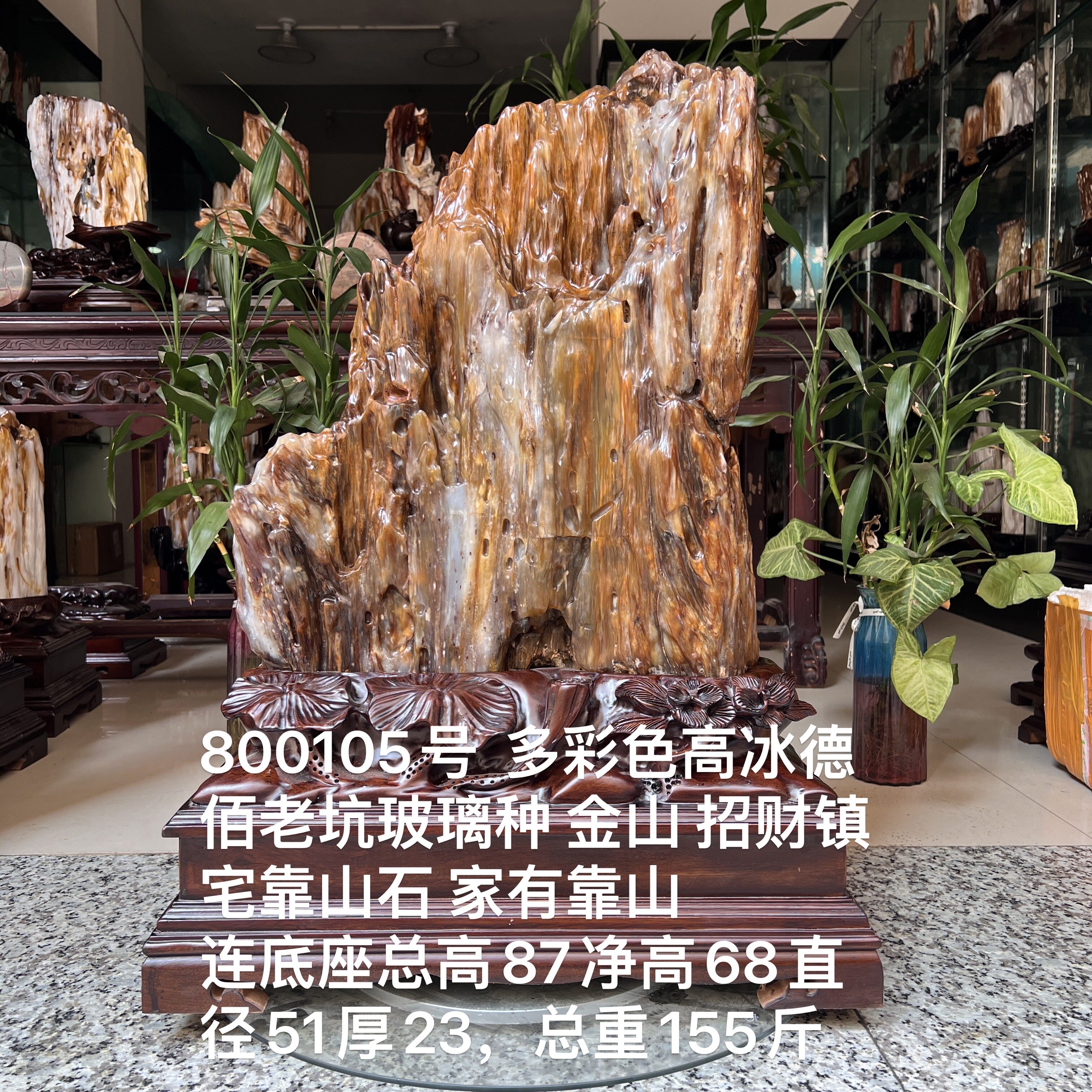 缅甸树化玉原石镇宅招财800105号木化石树化石天然硅化木奇石摆件