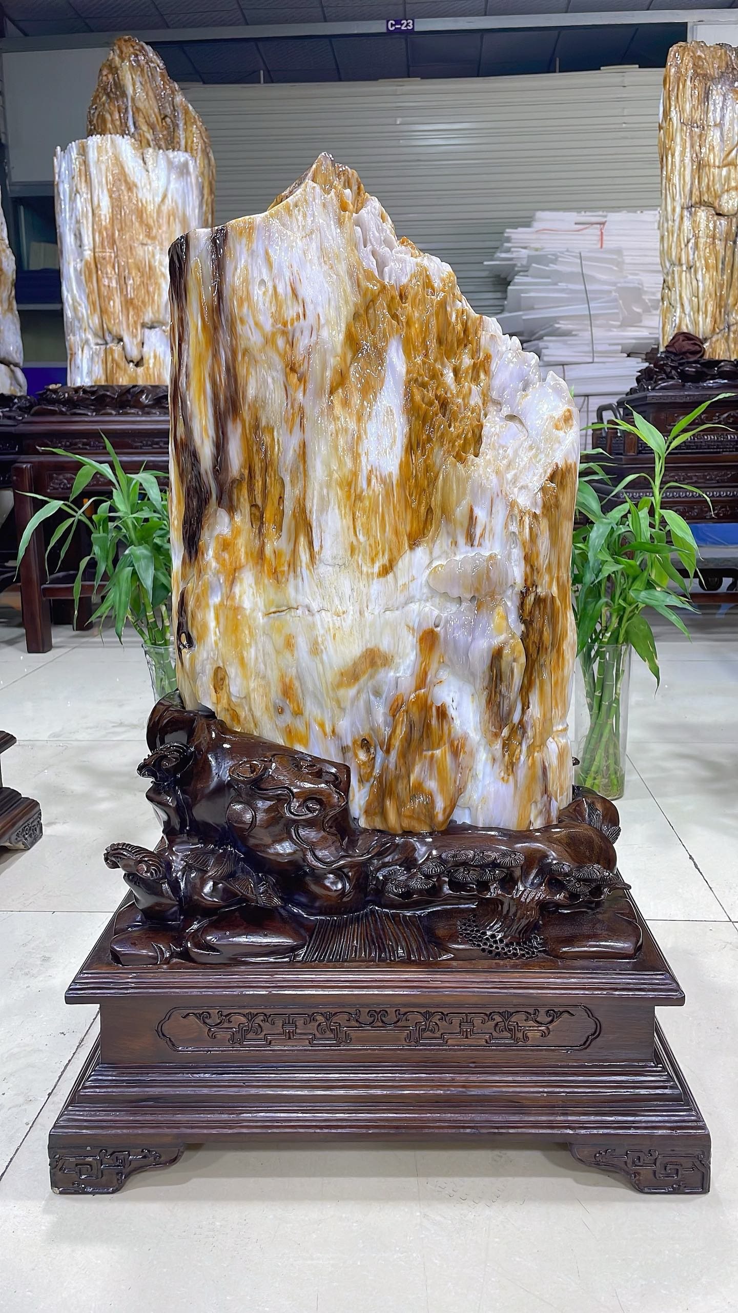 缅甸树化玉原石镇宅招财70714号木化石树化石天然硅化木奇石摆件