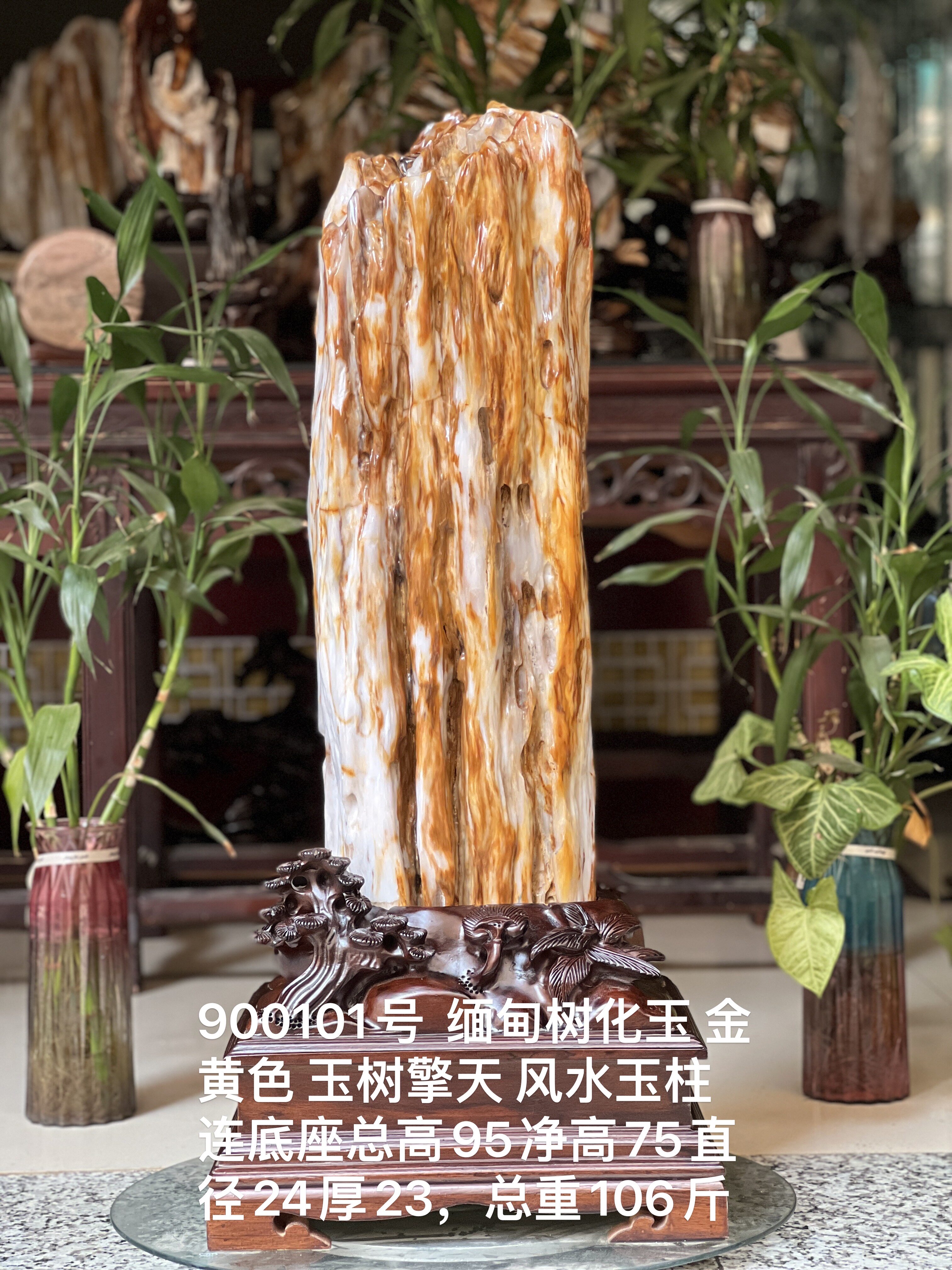 缅甸树化玉原石镇宅招财900101号木化石树化石天然硅化木奇石摆件