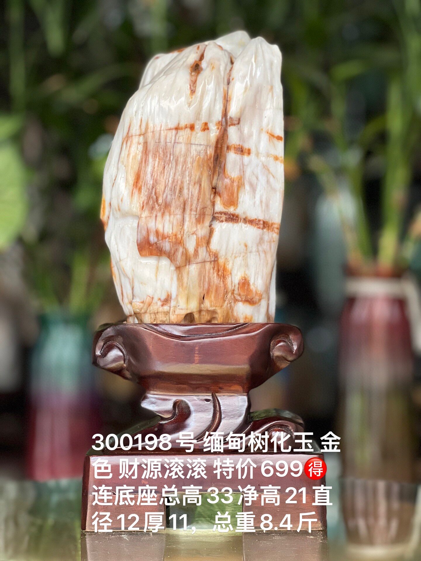 缅甸树化玉原石镇宅招财300198号木化石树化石天然硅化木奇石摆件
