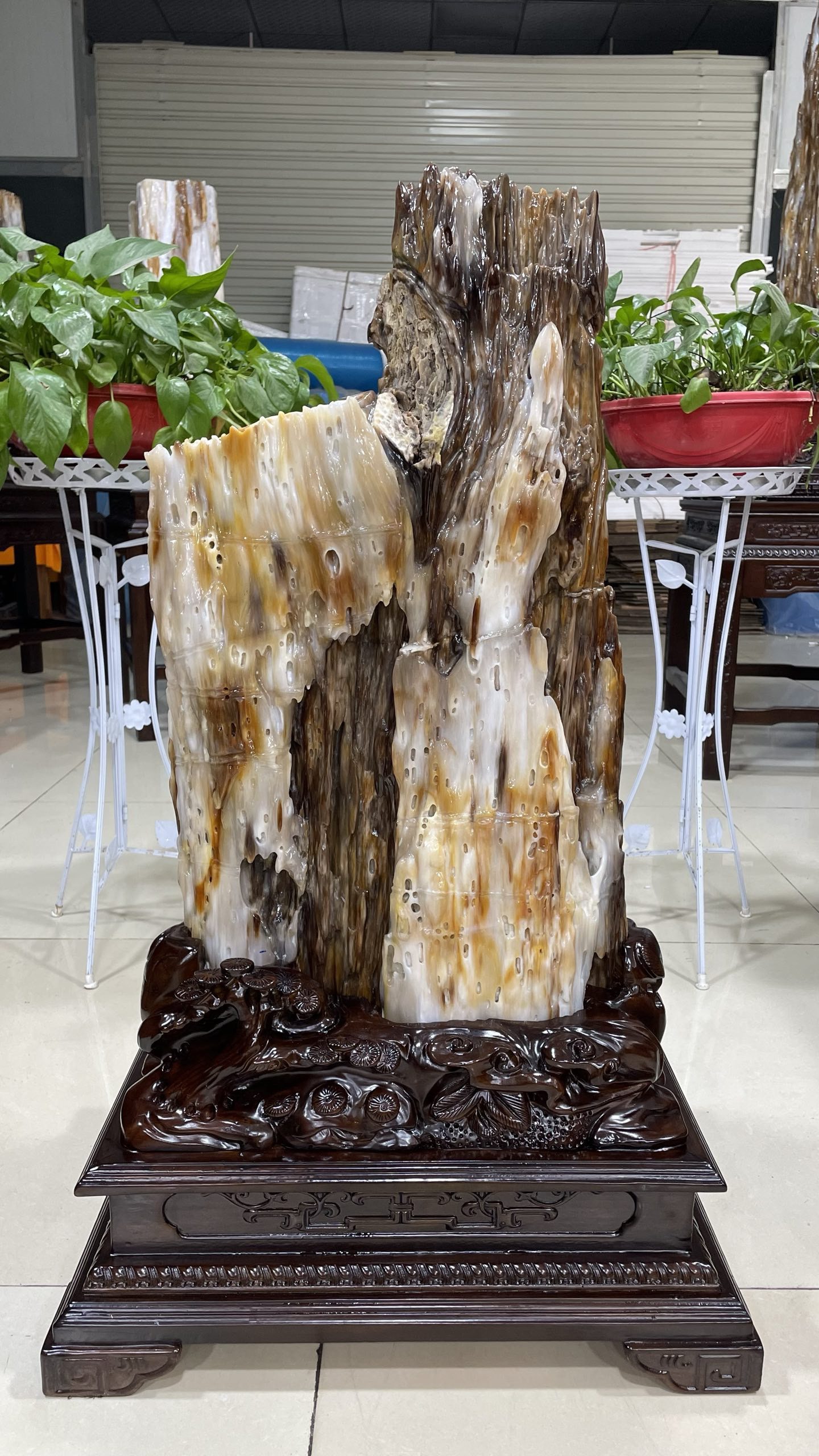 缅甸树化玉原石镇宅招财X5590号木化石树化石天然硅化木奇石摆件