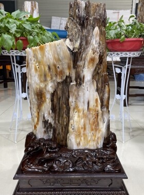 缅甸树化玉原石镇宅招财X5590号木化石树化石天然硅化木奇石摆件