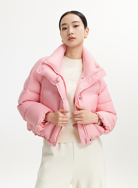 迪赛尼斯 通勤气质 短款立领羽绒外套女