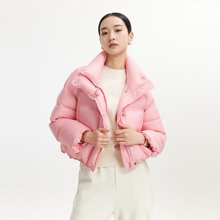 迪赛尼斯 通勤气质 短款立领羽绒外套女