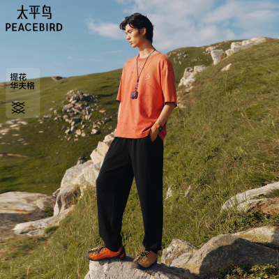 太平鸟男士休闲运动长裤B2GMF3232