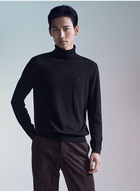 报喜鸟男士休闲羊毛衫EBY243006U111