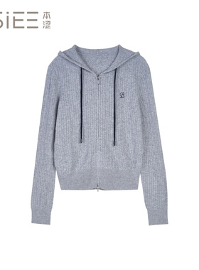 BSiEE本涩针织衫女款时尚F1619Y01