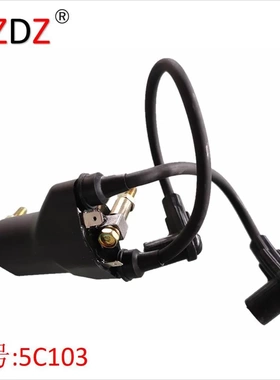 5C103 适用于 高尔夫球车高压包 26652-G01 可替换 EPIGC103