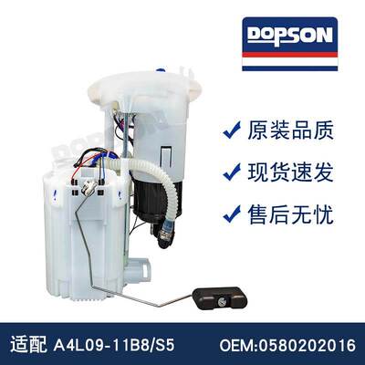0580202016 8K0919051G 8K0919087A A4L09-11B8燃油泵总成