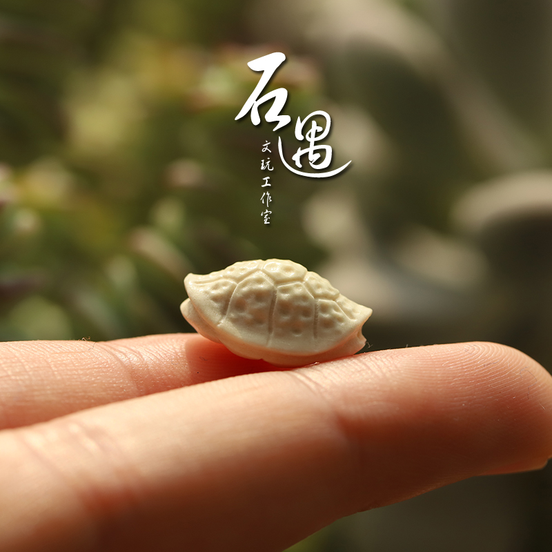 石遇猛犸个性龟壳富甲天下