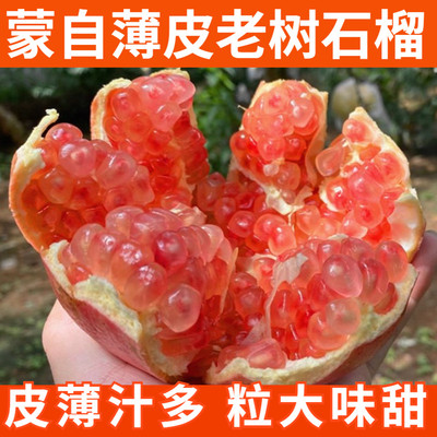 榴汁乡10斤应当季时令甜石榴