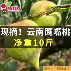 榴汁乡现摘10斤精选嘴蜜桃大果脆桃云南蒙自鹰嘴桃开远时令水果