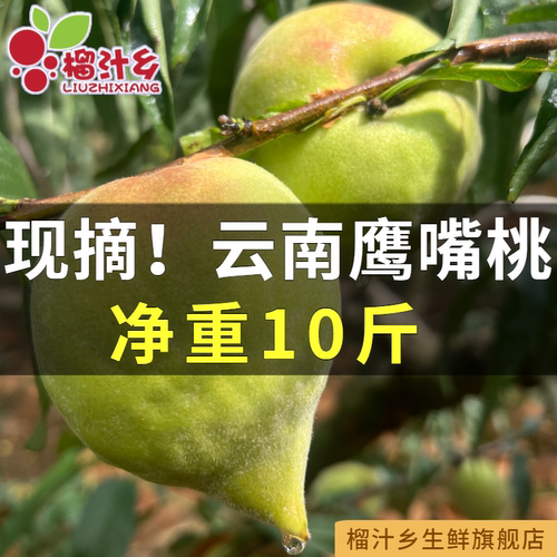 新鲜现摘鹰嘴云南蒙自毛桃