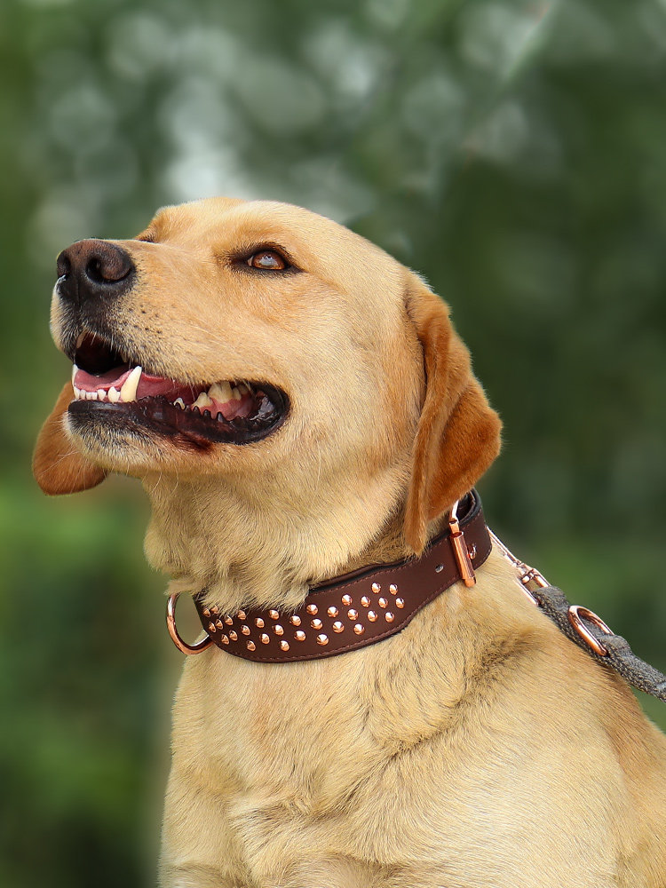 防咬狗项圈大型犬铆钉脖圈狗链宠物颈圈金毛法斗恶霸脖套狗狗用品