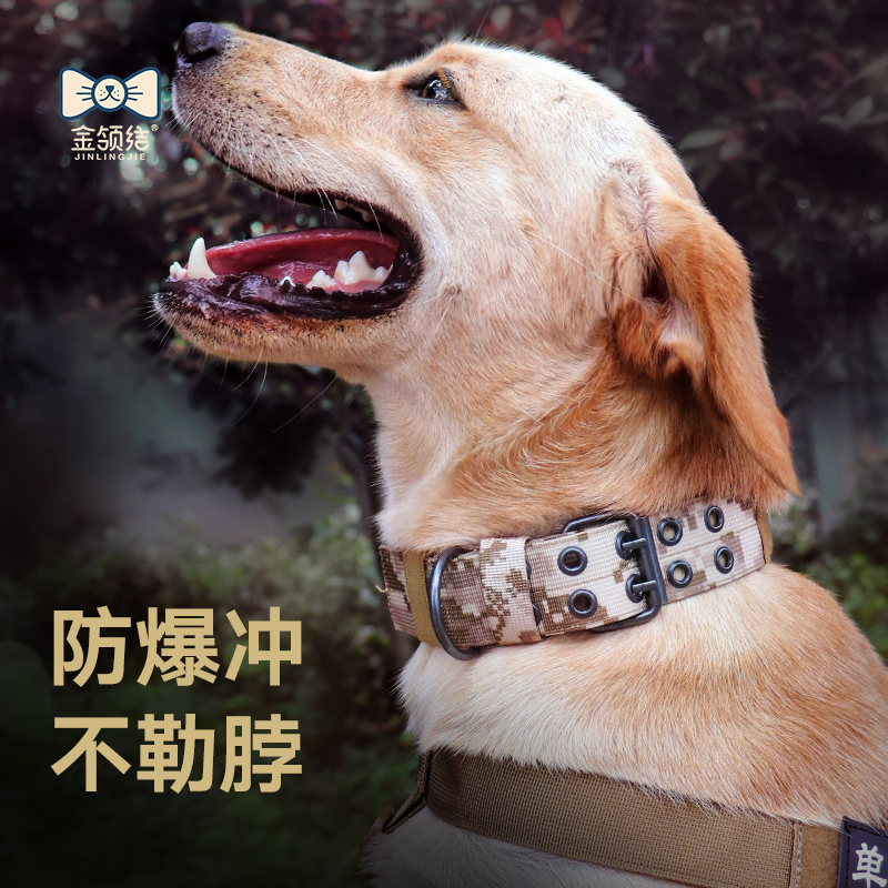金领结大型犬战术项圈狗脖圈