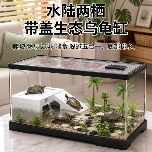 乌龟饲养缸塑料饲养箱带盖龟缸