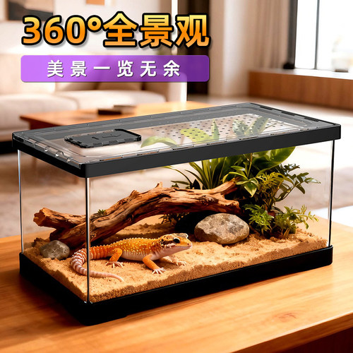 爬宠饲养箱透明亚克力昆虫饲养箱