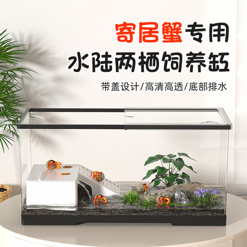 寄居蟹饲养缸爬台养龟专用缸