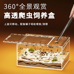 透明亚克力爬虫饲养盒全景观赏高透爬虫缸水陆两用防逃爬宠饲养箱