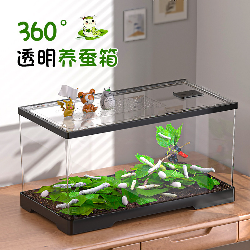 蚕宝宝饲养箱小别墅孕育观察房子养殖箱爬宠箱喂养运输透气饲养盒