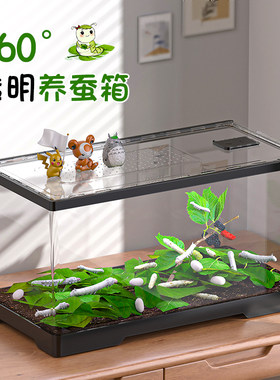 蚕宝宝饲养箱爬宠箱透气饲养盒