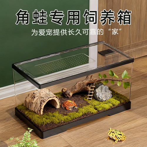 透明亚克力角蛙饲养箱爬宠饲养箱
