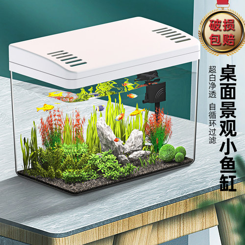 鱼缸家用客厅小型免换水水族箱