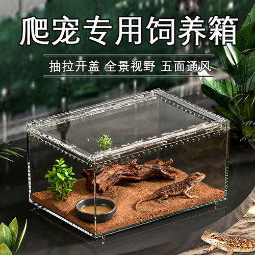 爬宠饲养箱亚克力生态缸守宫蜥蜴蜘蛛蜗牛甲虫造景爬虫饲养盒套装