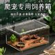 爬宠饲养箱亚克力生态缸守宫蜥蜴蜘蛛蜗牛甲虫造景爬虫饲养盒套装