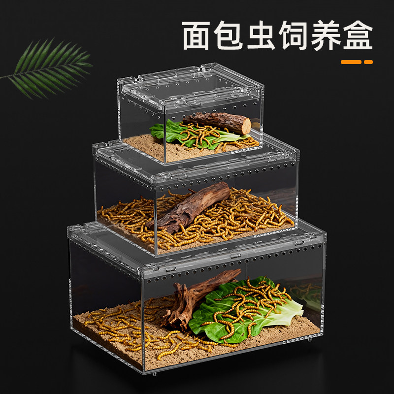 亚克力活体面包虫饲养箱防逃杜比亚蟑螂蟋蟀饲料养殖盒爬宠生态缸