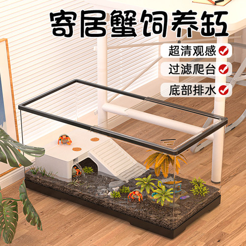 寄居蟹饲养缸带盖带爬台