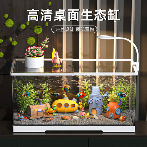 桌面生态鱼缸高清透明带盖乌龟缸