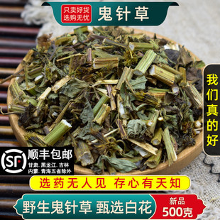 鬼针草中药材500g 虾钳草 250克鬼针草中草药白花三叶鬼针草茶正品
