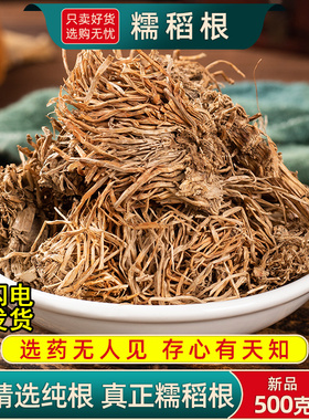 糯稻根中药材500克/250g 糯米根干净新货纯根儒谷根须水洗糯稻根