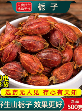 山栀子中药材500克/250/100g红栀子果药用山栀子野栀子泡水喝