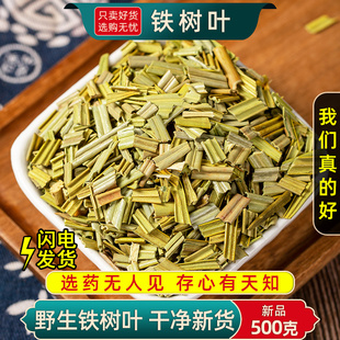 精选铁树叶正品 铁树叶干药材新货 铁树叶500克铁树叶中药