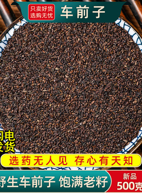 野生车前子中药材500克/250/100g车前子籽车前草种子正品饱满新货