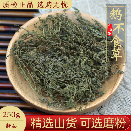 精选鹅不食草中药材正品新货