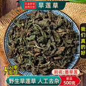 旱莲草另售女贞子旱莲草组合正品 野生墨旱莲中药材500克 250g