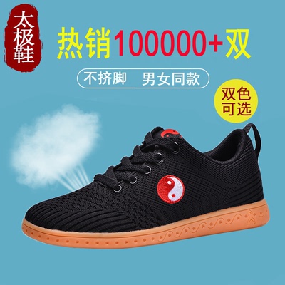 陈家沟太极鞋夏季男女武术鞋透气