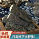 精选头茬羊肚菌全剪柄新货干货食用菌菇50g 500g厚肉无沙