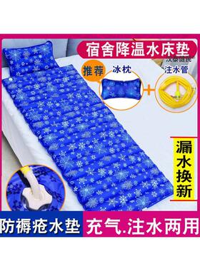 防褥疮水床垫翻身充气气垫卧床老人瘫痪病人家用降温水袋护理神器