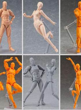 万代shf素体人偶绘画辅助模型关节可动人体手办动漫美术素描参考