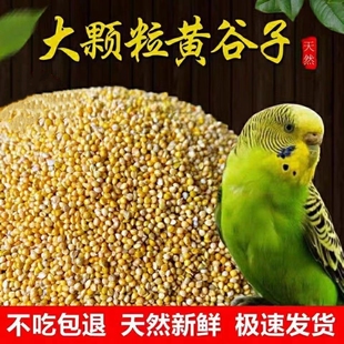 鸟粮新黄谷子中小型鹦鹉饲料食虎皮玄凤牡丹带壳小米食物粮食3斤