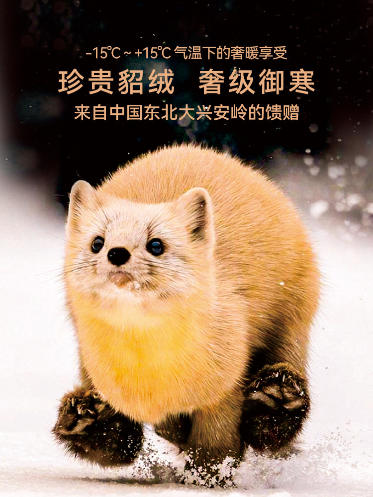 MONTAGNARD 실크 독일 벨벳 열 속옷 벨벳과 두꺼운 내부 착용 밍크 벨벳 가을 코트와 겨울용 긴 바지 세트