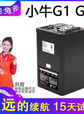 驰兔小牛F1电动摩托车电池F2狗娃G1 G2 F400T大容量锂电池B2/F2