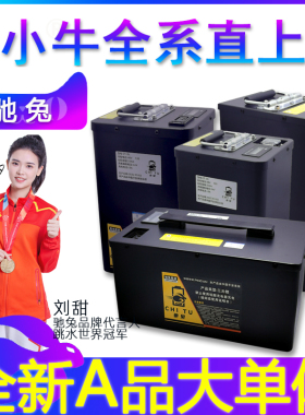 驰兔小牛电动车锂电池48vuqiu+bu1usm2mqi2miq2smqisn1s直上n1g2