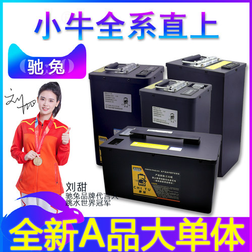 驰兔小牛电动车大单体48v