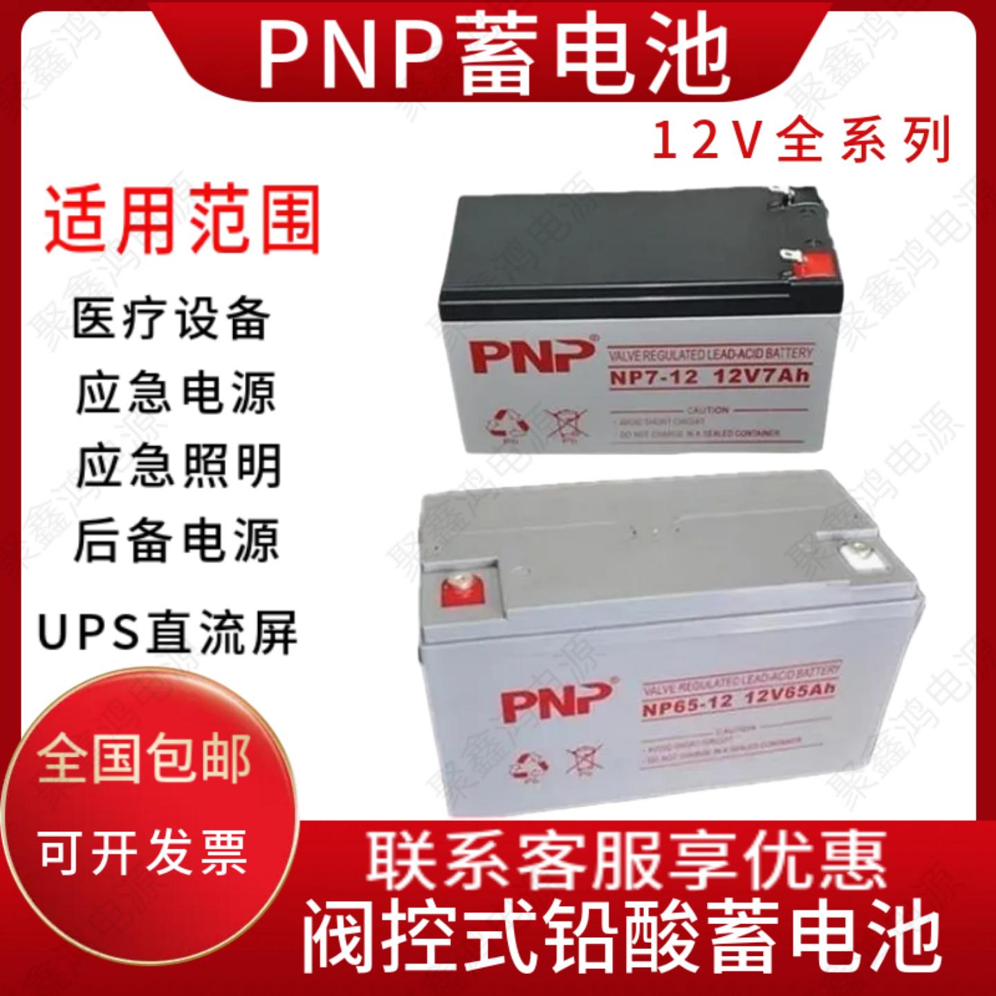 PNP蓄电池NP65-12/12V7A12A17A24A38A40A65A100A120A150AH消防EPS